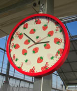 Berry's farm HASEGAWA・８