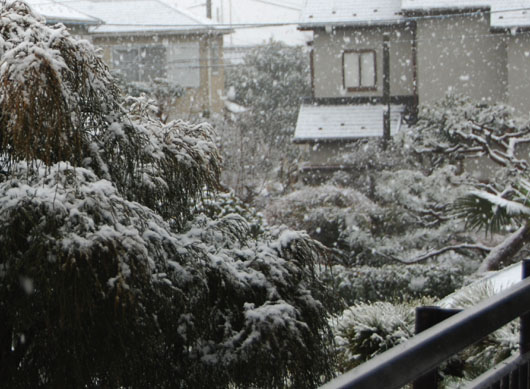 熊谷の雪・１