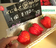 Berry's farm HASEGAWA・１０