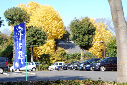 佐間天神社のイチョウ・２
