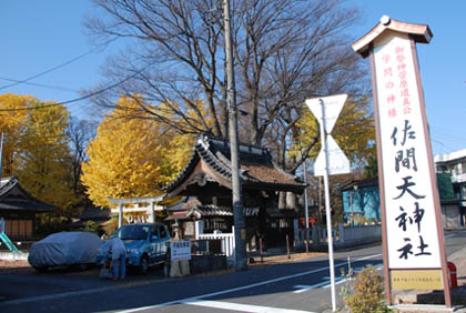 佐間天神社のイチョウ・３