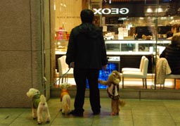 銀座の４人？・１