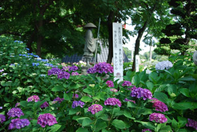 能護寺2010.6.21・５