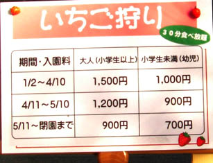 Berry's farm HASEGAWA・１１