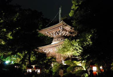 妻沼聖天盆踊り・５