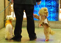 銀座の４人？・２