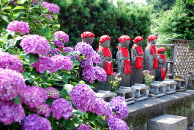 能護寺2010.6.21・６