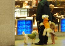 銀座の４人？・３