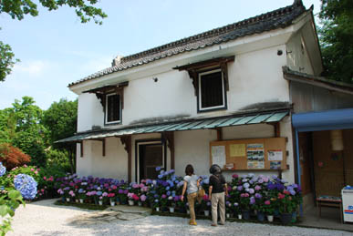 能護寺2010.6.21・７