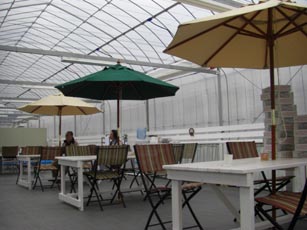 いちごファームKUMAGAYA・５