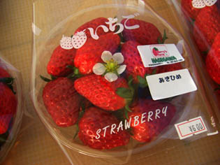 Berry's farm HASEGAWA・１４