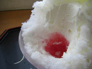 道の駅めぬま・雪くま「ミルキーハイビスカス」３