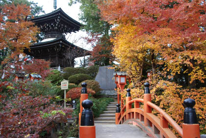 妻沼聖天山・平和の塔周辺の紅葉