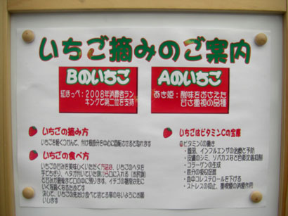 いちごファームKUMAGAYA・６
