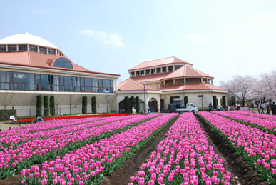 深谷といえば・４