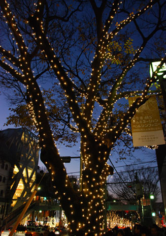 表参道イルミネーション・２