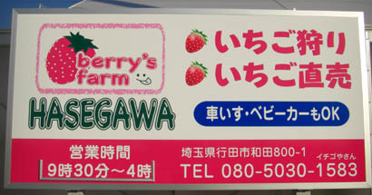 Berry's farm HASEGAWA・１５