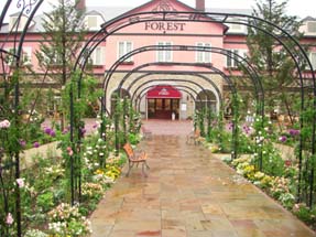 花園フォレストのバラ080529・２.JPG