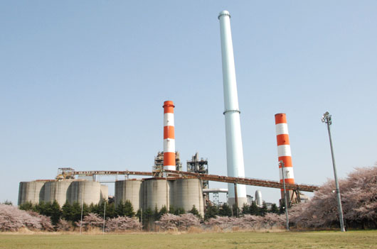 太平洋セメント・１１