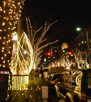 表参道イルミネーション・５