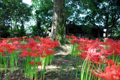 久保島神社・６