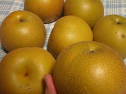 鴻巣の梨・７