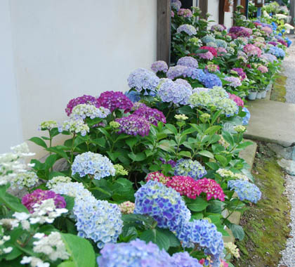 能護寺2011・１１