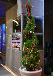 キングアンバサダーのツリー