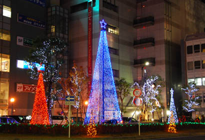 ティアラのツリー08年