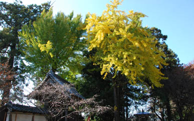 光恩寺・６