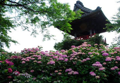 能護寺2011・１２