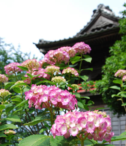 能護寺2011・１３