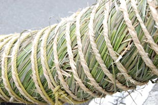 高城神社胎内くぐり・２