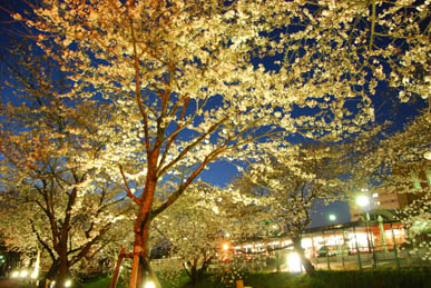 深谷駅前2010.4.3夕方・２