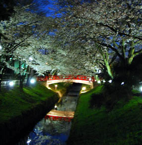 深谷駅前2010.4.3夕方・３
