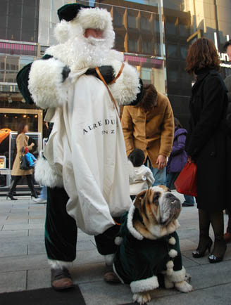 銀座のクリスマスわんちゃん・５