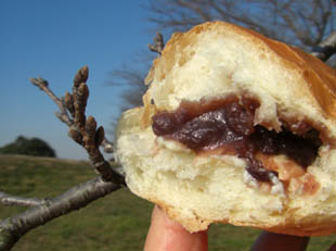 アルザン　コッペパンなかみ