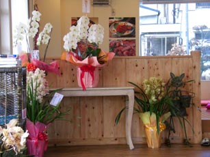 梨花亭　店内３