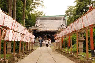赤城神社胎内くぐり・３
