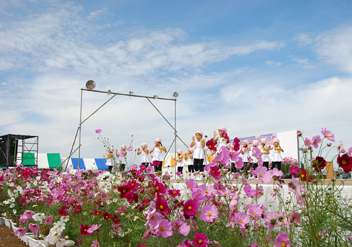 おかべコスモス2008・４