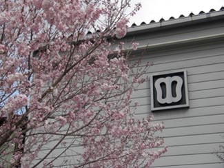 中家堂の裏090331・１