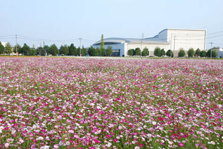 にった花トピア・７