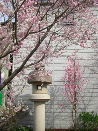 中家堂の裏090331・２