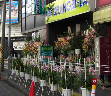 ここにも花？・２