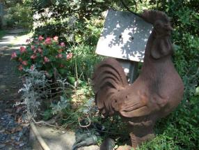 ルコック　庭のトリさん