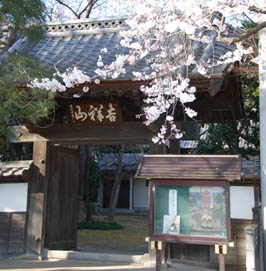 安楽寺の桜090328・５