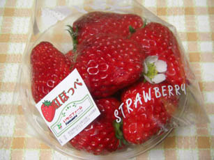 いちごファームKUMAGAYA・１２