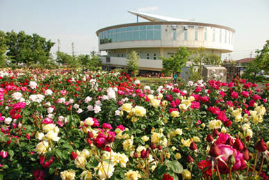 道の駅めぬま2010.5.21