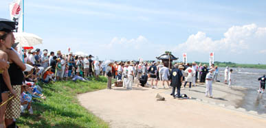 葛和田・大杉神社あばれ神輿　６