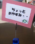 シシリーの風　満腹…